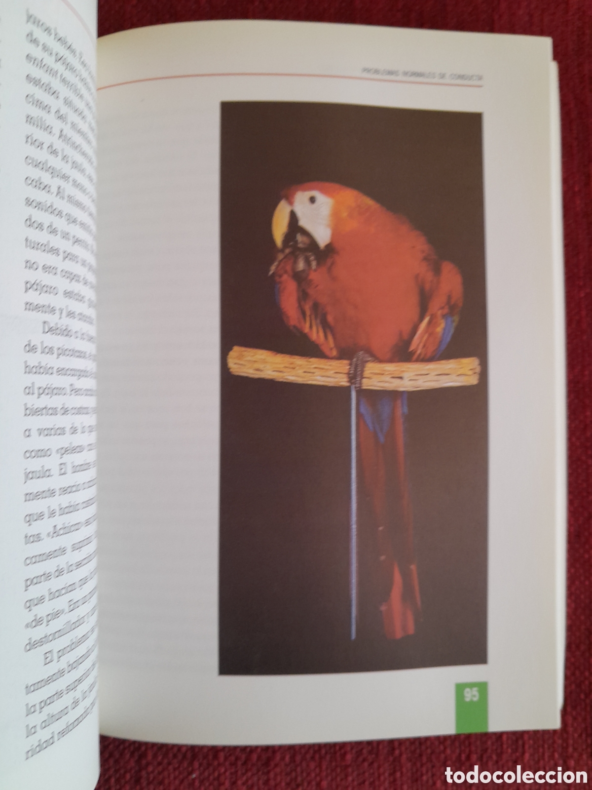 Libros de segunda mano: -Como Educar A Su Loro. - Foto 5