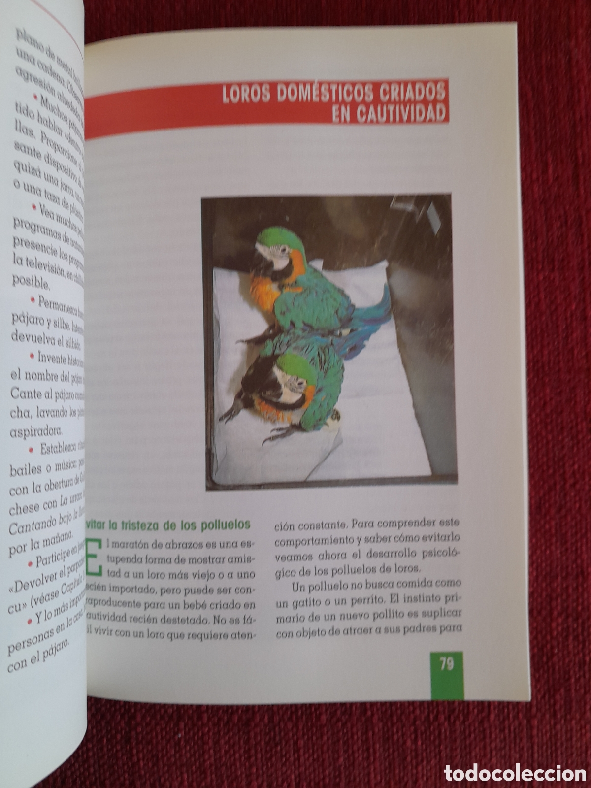Libros de segunda mano: -Como Educar A Su Loro. - Foto 6