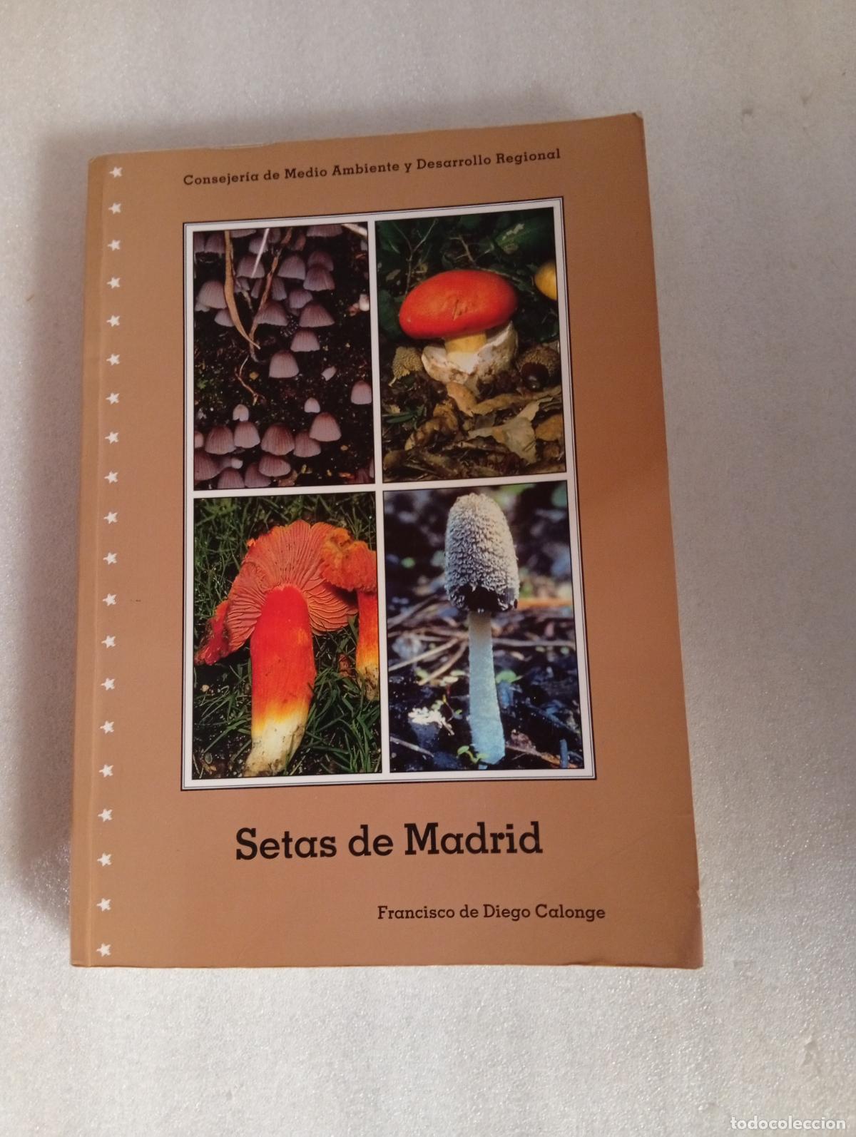 Libros de segunda mano: SETAS DE MADRID - Comunidad de Madrid - Foto 1