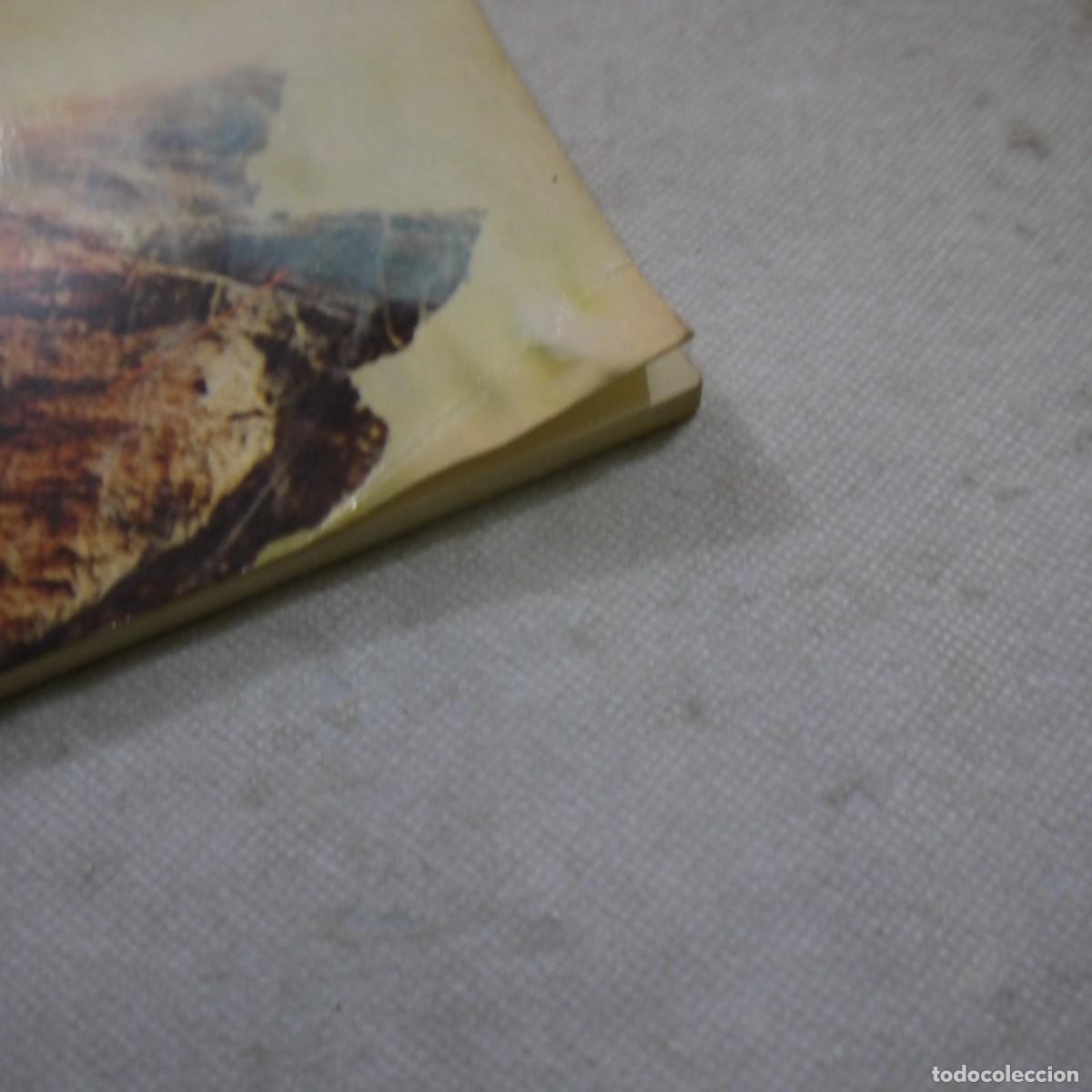 Libros de segunda mano: CRISALITA - VARIOS AUTORES - Foto 2