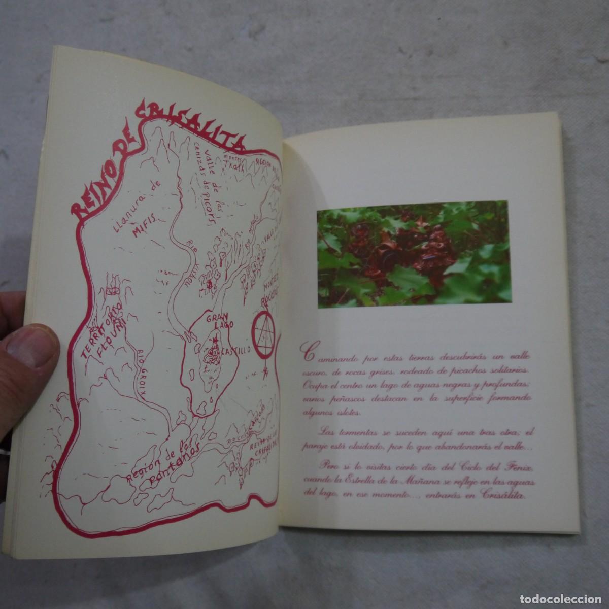 Libros de segunda mano: CRISALITA - VARIOS AUTORES - Foto 7
