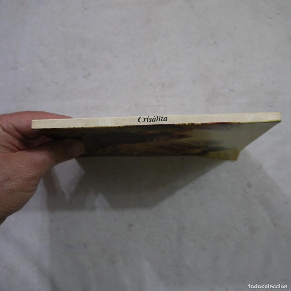 Libros de segunda mano: CRISALITA - VARIOS AUTORES - Foto 14