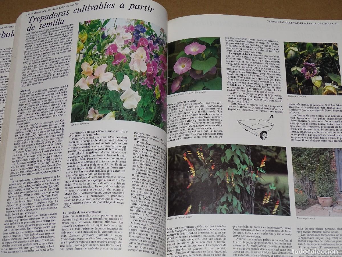Libros de segunda mano: Gu&iacute;a pr&aacute;ctica ilustrada para El jard&iacute;n 2. - Foto 2