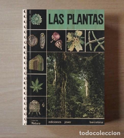 Second hand books: �F2269 - LAS PLANTAS. JARDINERIA. FLORES. ARBOLES. ARBUSTOS. HIERBAS. VEGETALES. FLORA. ED. JOVER.