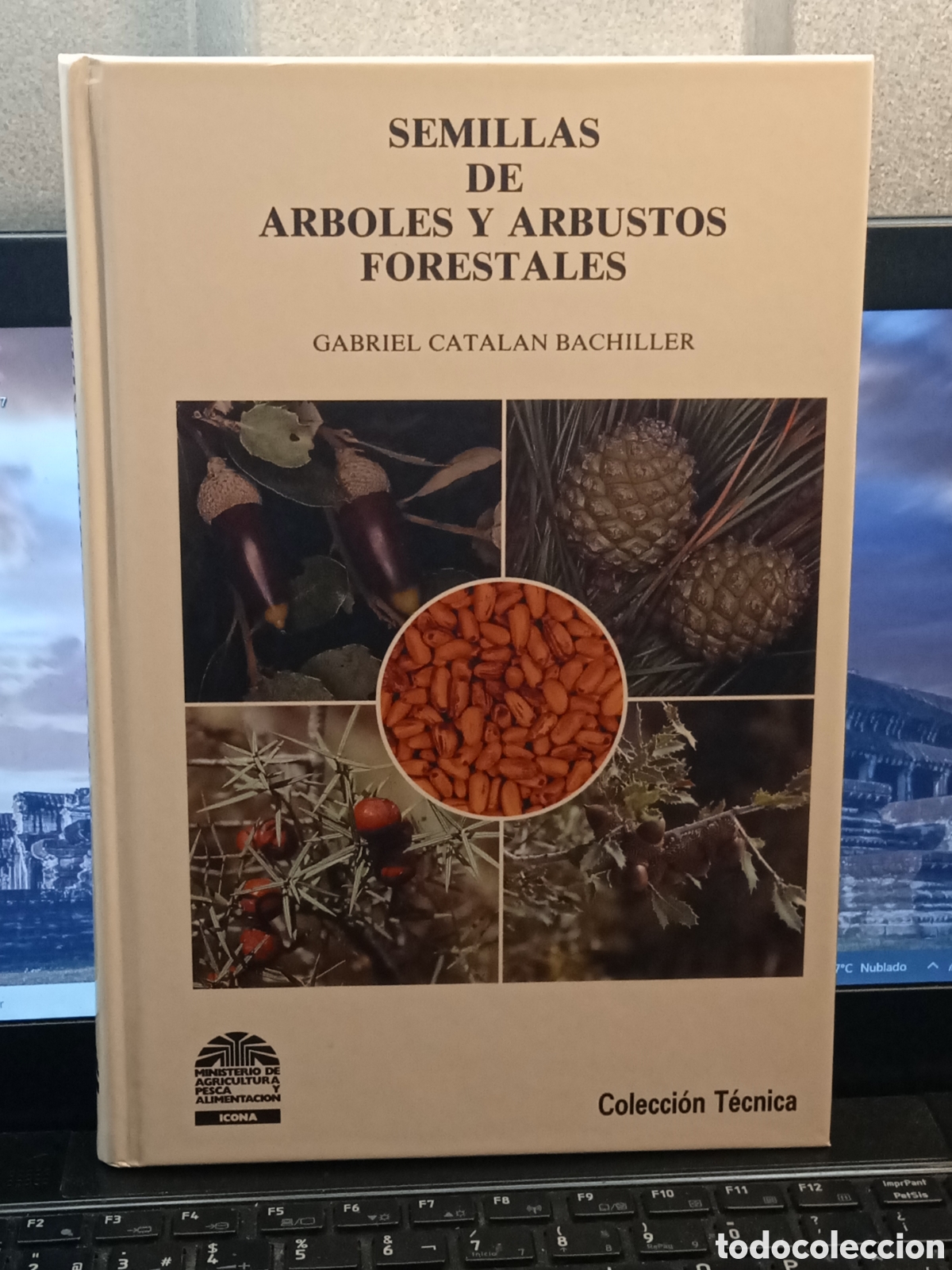 Libros de segunda mano: SEMILLAS DE ARBOLES Y ARBUSTOS FORESTALES. GABRIEL CATALAN BACHILLER