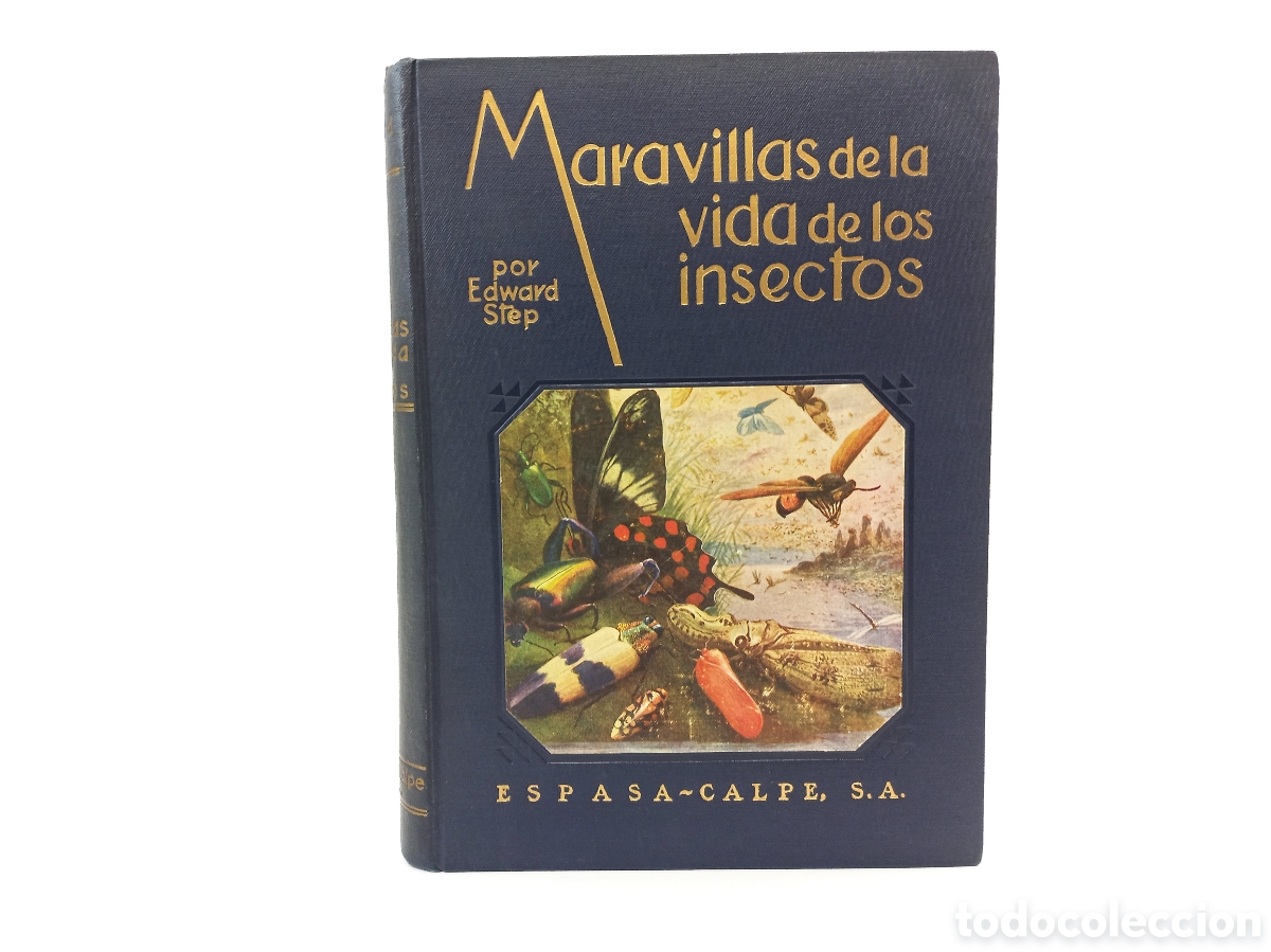 Libros de segunda mano: Maravillas de la Vida de los Insectos. Eward Step. Espasa Calpe, 1953. Ilustrado.