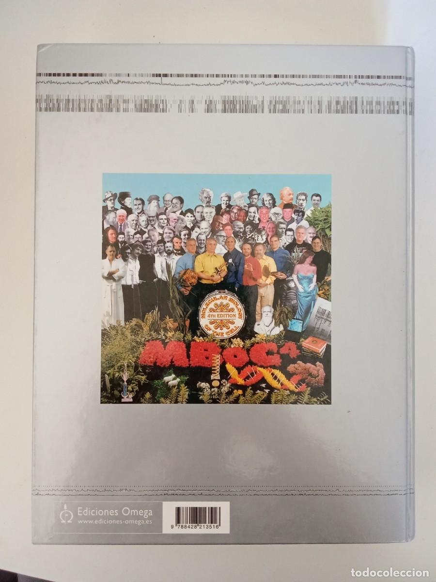 Libros de segunda mano: Biolog&iacute;a molecular de la c&eacute;lula - Foto 4