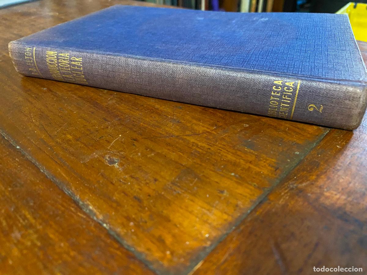 Libros de segunda mano de ciencias: INTRODUCCI&Oacute;N A LA TEOR&Iacute;A NUCLEAR - Elton, L. R. B. - Foto 1