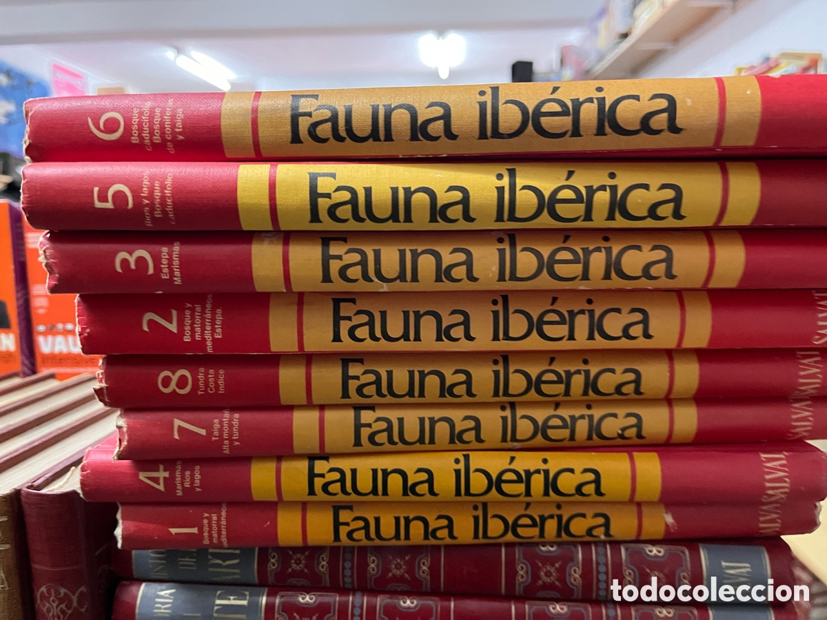 Libros de segunda mano: ENCICLOPEDIA SALVAT DE LA FAUNA IBERICA Y EUROPEA 8 VOLS (COMPLETA) - RODR&Iacute;GUEZ DE LA FUENTE, F&Eacute;LIX