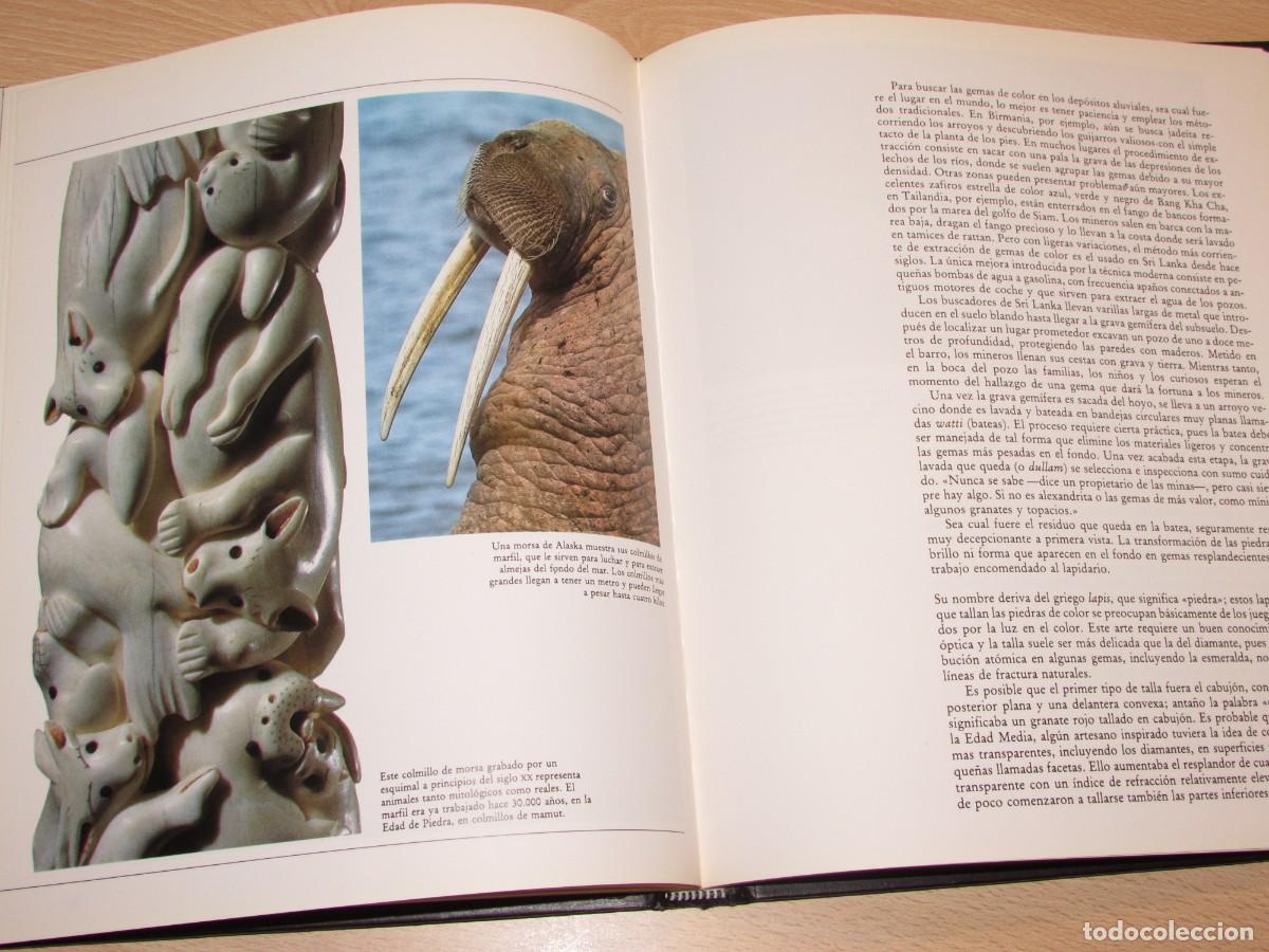 Libros de segunda mano: Las piedras preciosas Planeta 1991 - Foto 17