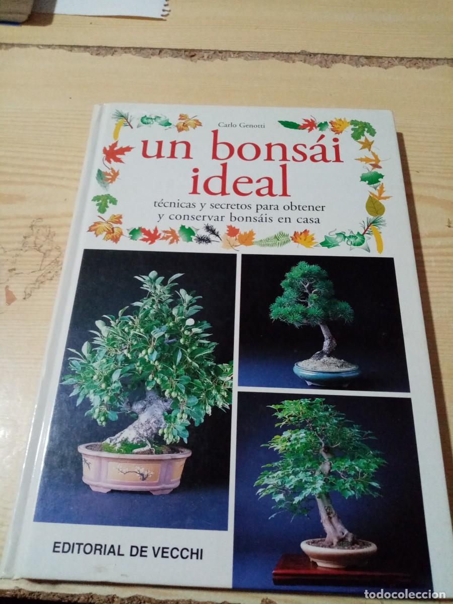 Libros de segunda mano: UN BONSAI IDEAL. CARLO GENOTTI. EST9B4 - Foto 1