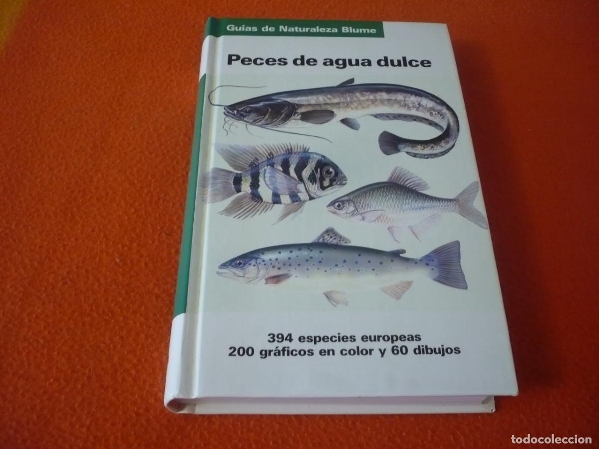 Libros de segunda mano: PECES DE AGUA DULCE ( FRITZ TEROFAL ) EN AGUAS EUROPEAS GUIAS NATURALEZA BLUME RIOS PESCA DEPORTIVA