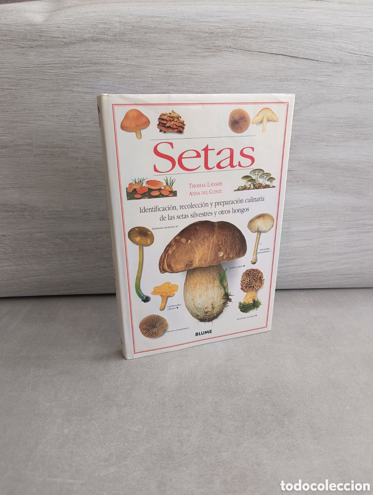 Gebrauchte B&uuml;cher: SETAS. IDENTIFICACI&Oacute;N, RECOLECCI&Oacute;N Y PREPARACI&Oacute;N CULINARIA. THOMAS LAESSOE Y ANNA DEL CONTE. BLUME.