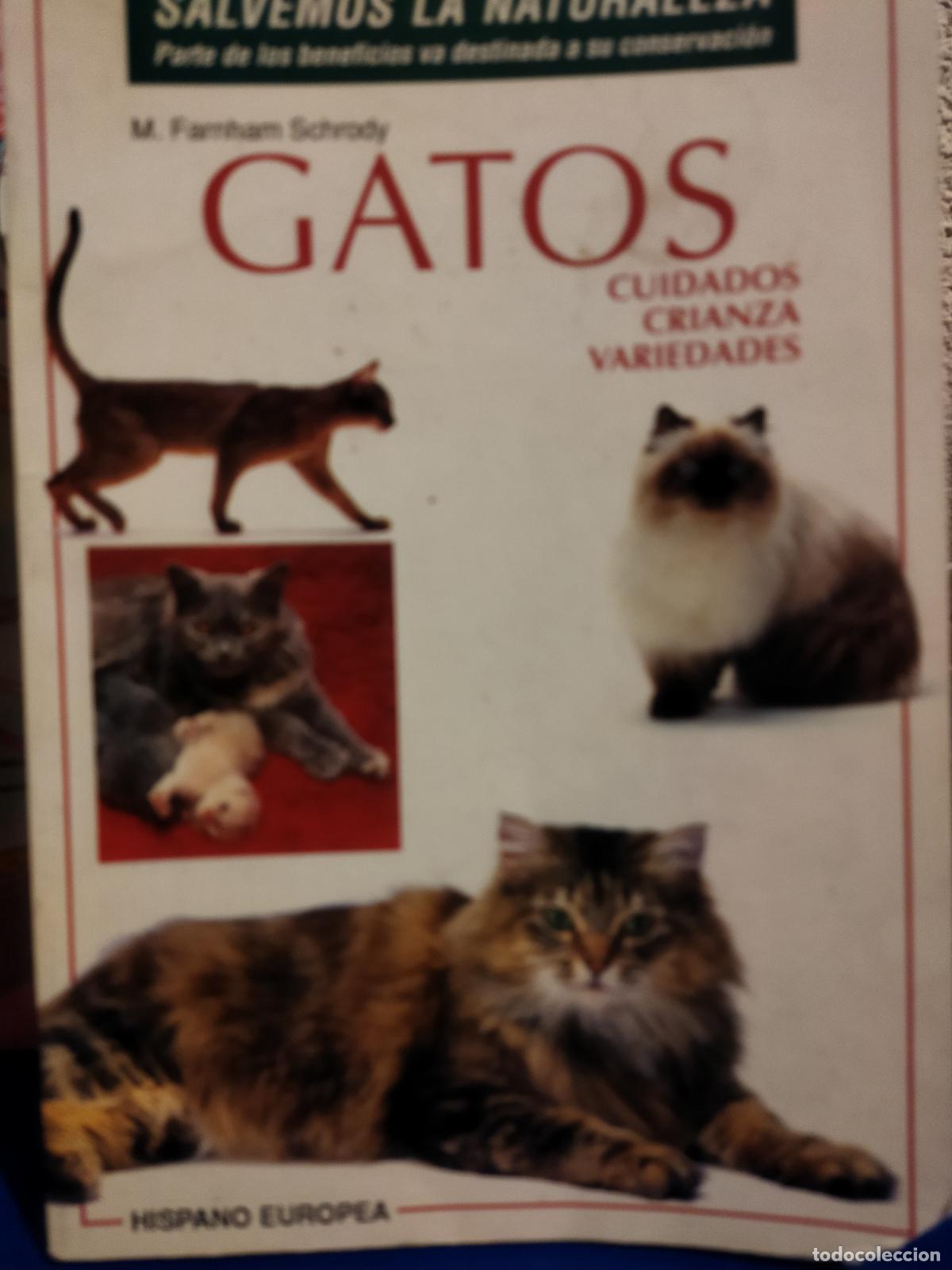 Libros de segunda mano: Gatos cuidados crianza variedades - Foto 1