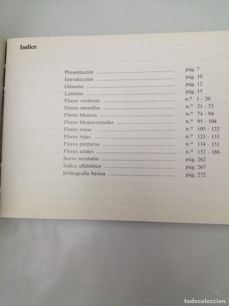 Libros de segunda mano: Flores de Asturias (tercera edici&oacute;n) - Foto 8