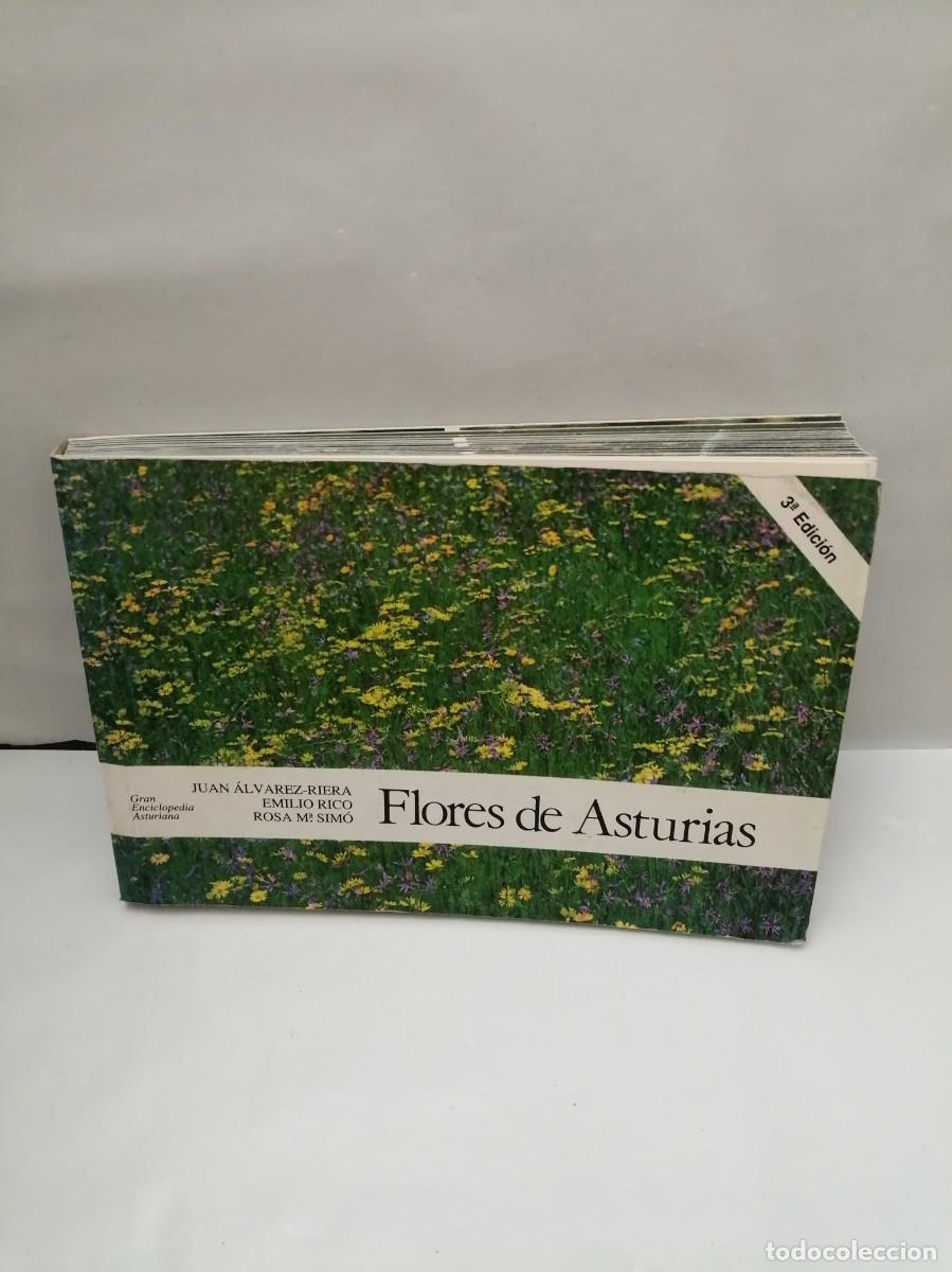 Libros de segunda mano: Flores de Asturias (tercera edici&oacute;n) - Foto 1