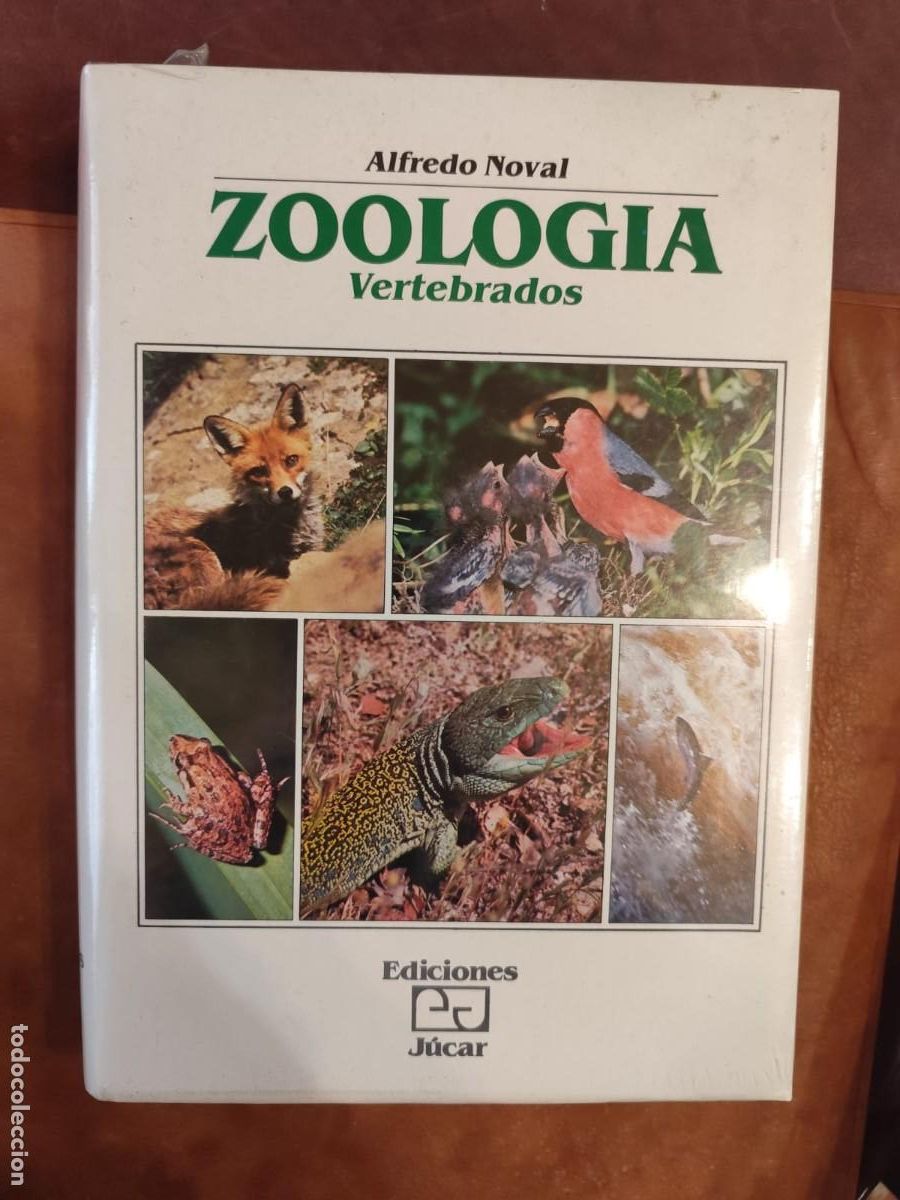 Libros de segunda mano: Alfredo Noval. ZOOLOG&Iacute;A. VERTEBRADOS.