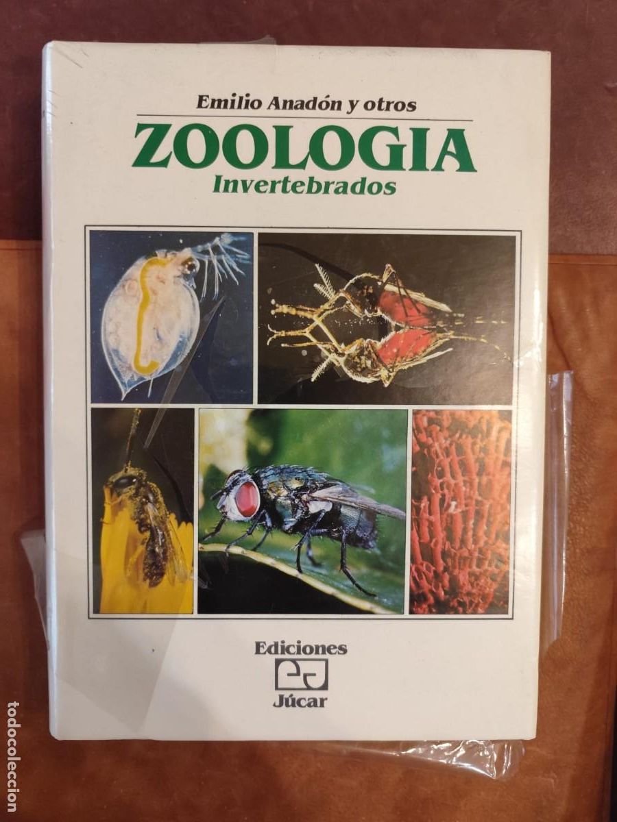Libros de segunda mano: Emilio Anadon y otros. ZOOLOG&Iacute;A. INVERTEBRADOS.