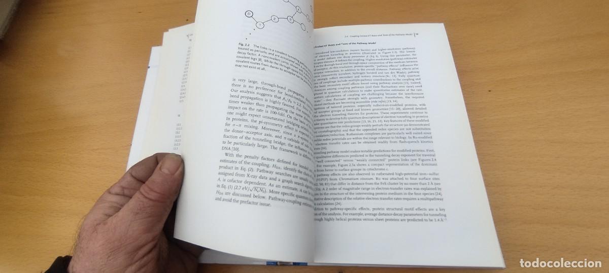 Libros de segunda mano de ciencias: BIOELECTRONICS FROM THEORY TO APPLICATIONS / EN INGLES / BIOELECTR&Oacute;NICA: DE LA TEOR&Iacute;A A LAS APLICACI - Foto 16