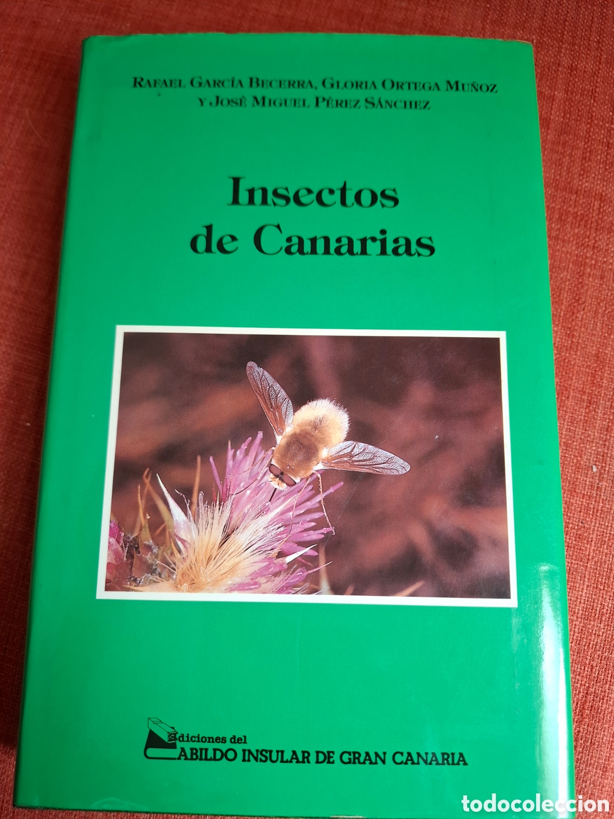 Libros de segunda mano: INSECTOS DE CANARIAS. RAFAEL GARCIA.GLORIA ORTEGA.JOSE MIGUEL PEREZ