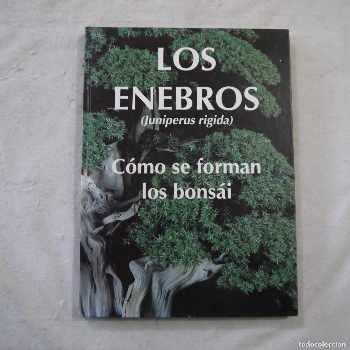 Libros de segunda mano: LOS ENEBROS (JUNIPERUS RIGIDA). C&Oacute;MO SE FORMAN LOS BONS&Aacute;I - 2004 - Foto 1