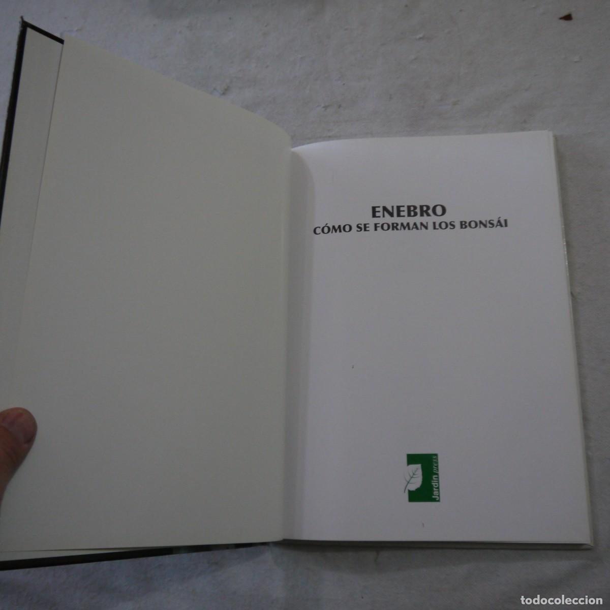 Libros de segunda mano: LOS ENEBROS (JUNIPERUS RIGIDA). C&Oacute;MO SE FORMAN LOS BONS&Aacute;I - 2004 - Foto 3