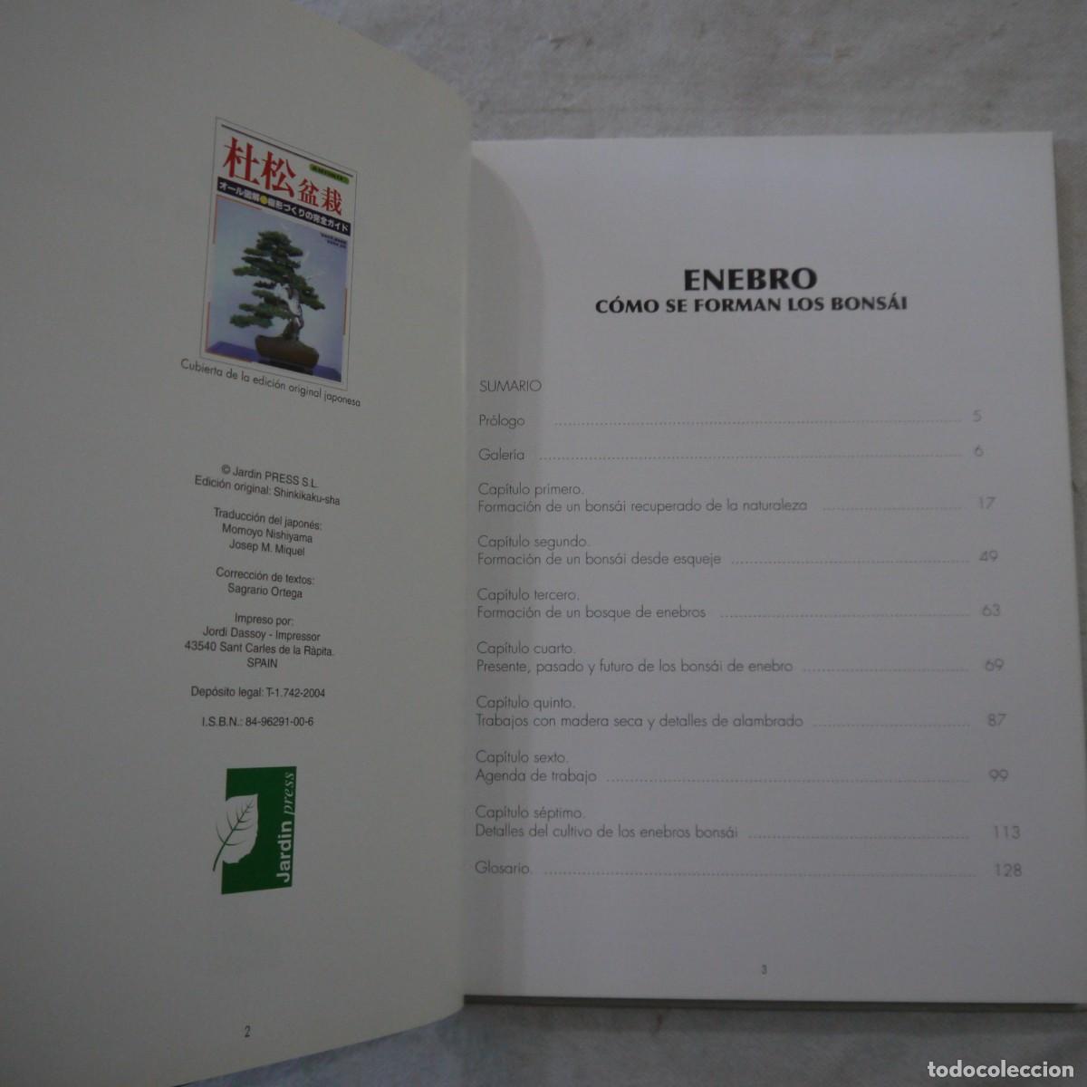 Libros de segunda mano: LOS ENEBROS (JUNIPERUS RIGIDA). C&Oacute;MO SE FORMAN LOS BONS&Aacute;I - 2004 - Foto 4