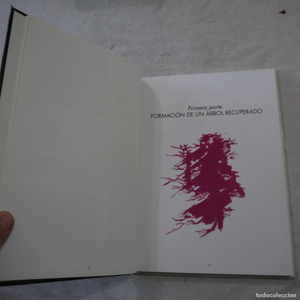 Libros de segunda mano: LOS ENEBROS (JUNIPERUS RIGIDA). C&Oacute;MO SE FORMAN LOS BONS&Aacute;I - 2004 - Foto 6