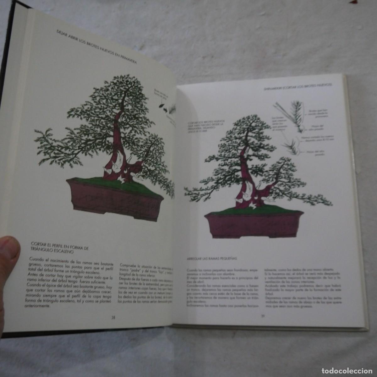 Libros de segunda mano: LOS ENEBROS (JUNIPERUS RIGIDA). C&Oacute;MO SE FORMAN LOS BONS&Aacute;I - 2004 - Foto 8