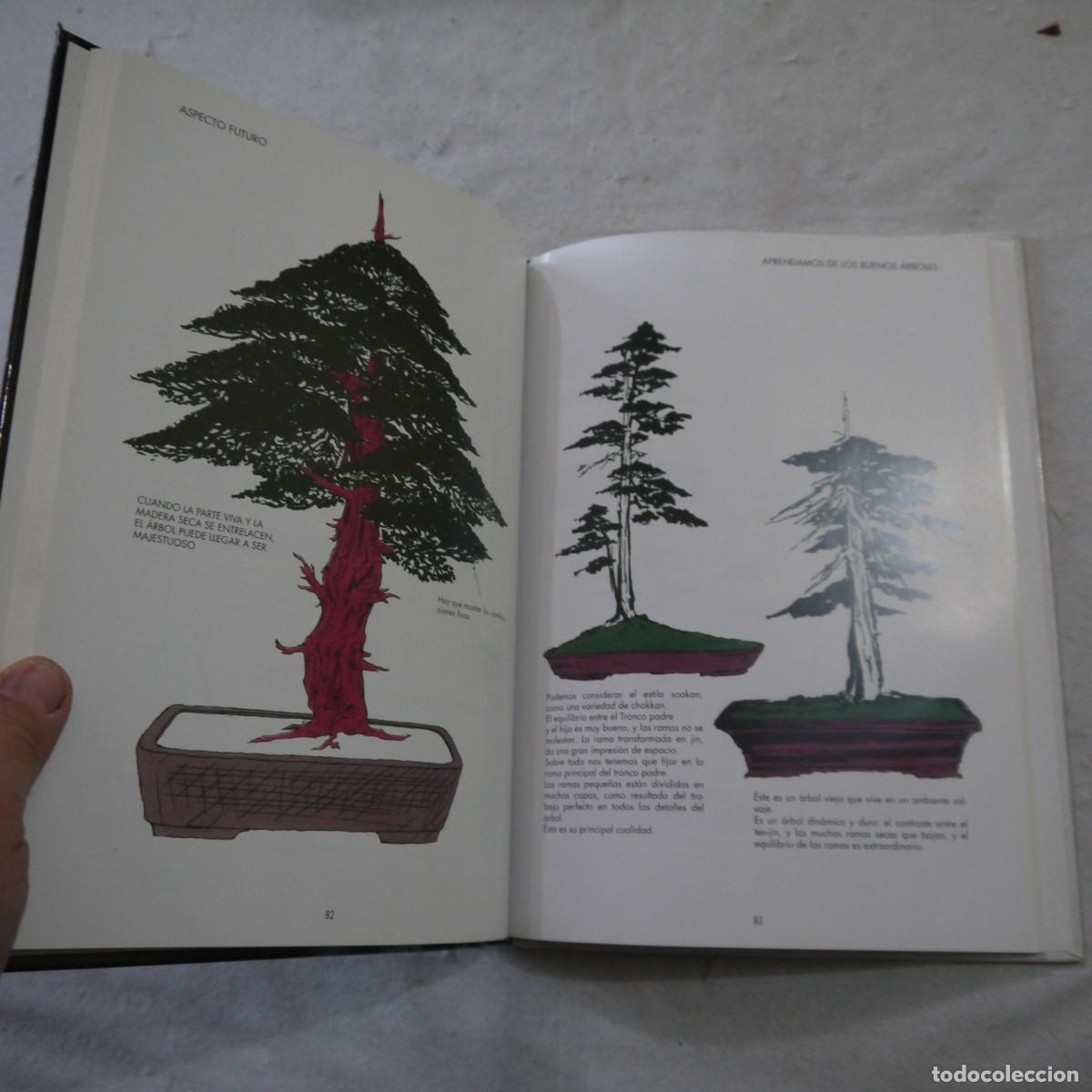 Libros de segunda mano: LOS ENEBROS (JUNIPERUS RIGIDA). C&Oacute;MO SE FORMAN LOS BONS&Aacute;I - 2004 - Foto 10