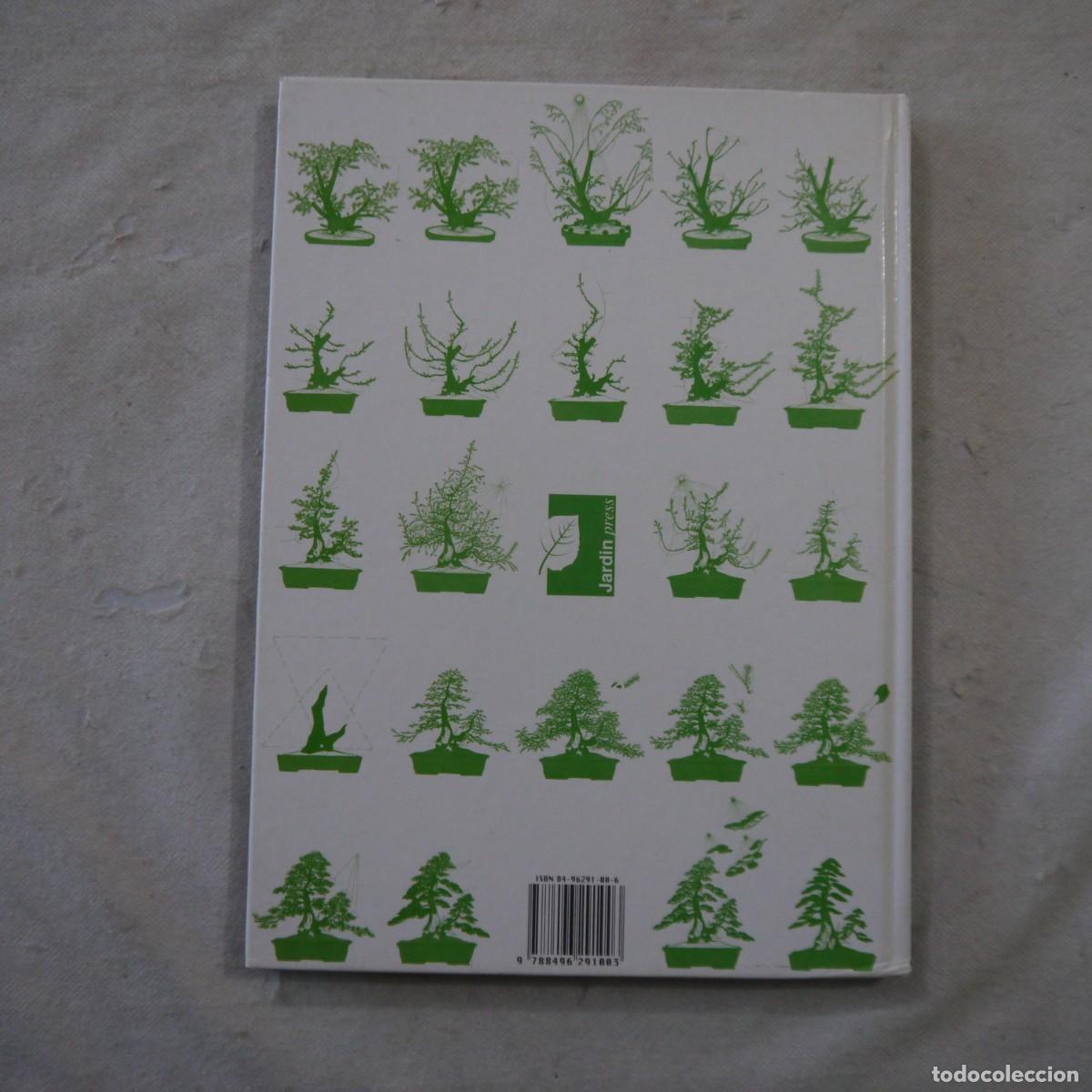 Libros de segunda mano: LOS ENEBROS (JUNIPERUS RIGIDA). C&Oacute;MO SE FORMAN LOS BONS&Aacute;I - 2004 - Foto 14