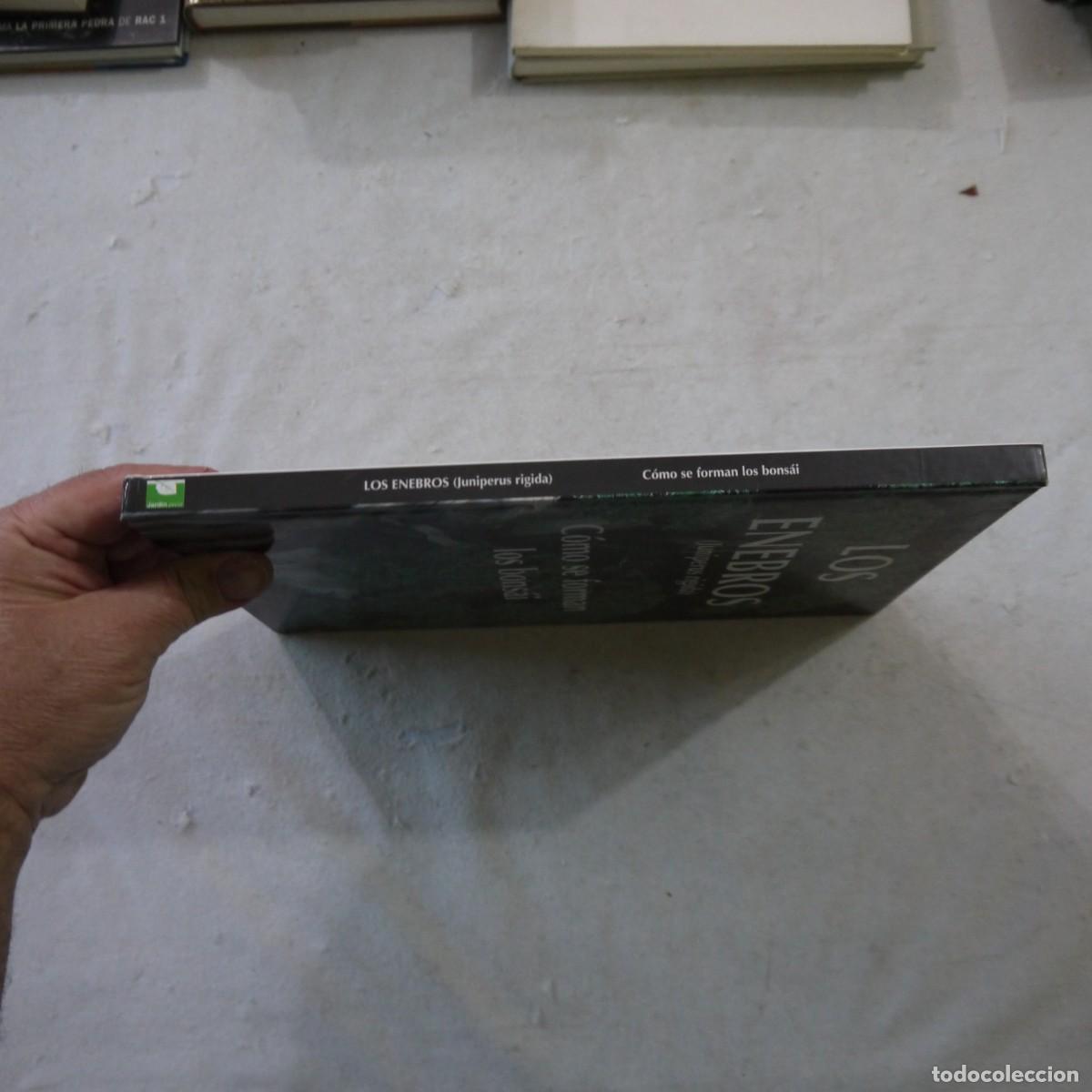 Libros de segunda mano: LOS ENEBROS (JUNIPERUS RIGIDA). C&Oacute;MO SE FORMAN LOS BONS&Aacute;I - 2004 - Foto 15