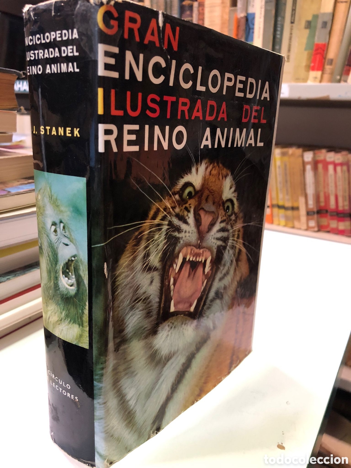 Libri di seconda mano: Gran Enciclopedia ilustrada del reino animal - J. Stanek