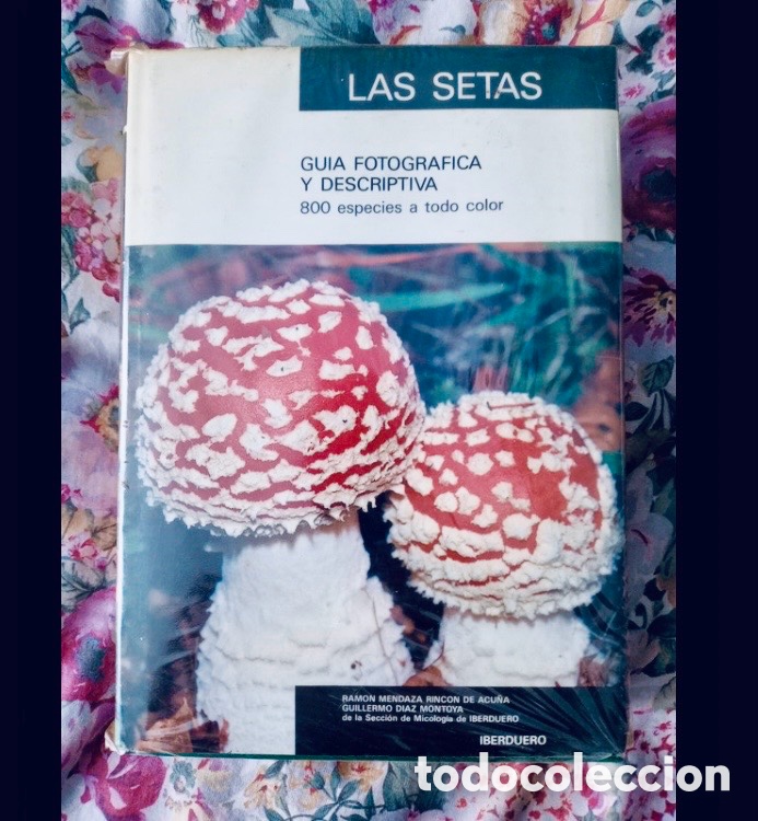Libros de segunda mano: LAS SETAS. GU&Iacute;A FOTOGR&Aacute;FICA Y DESCRIPTIVA. - Foto 1