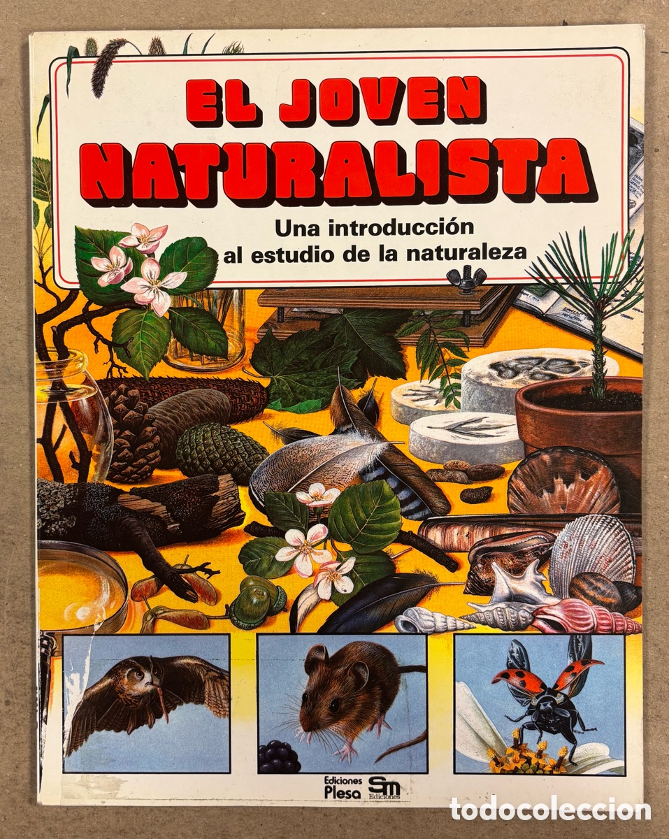 Libros de segunda mano: EL JOVEN NATURALISTA, UNA INTRODUCCI&Oacute;N A LA NATURALEZA. ANDREW MITCHELL.. EDICIONES PLESA 1983