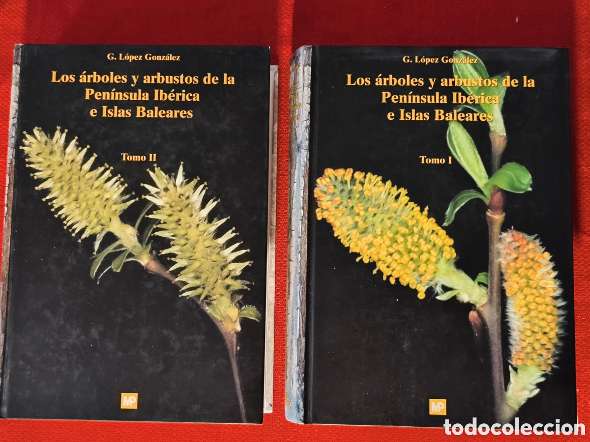 Libros de segunda mano: Libros Los arboles y arbustos de la pen&iacute;nsula Ib&eacute;rica e Islas Baleares 2 tomos 1 edici&oacute;n 2001 G. L&oacute;p