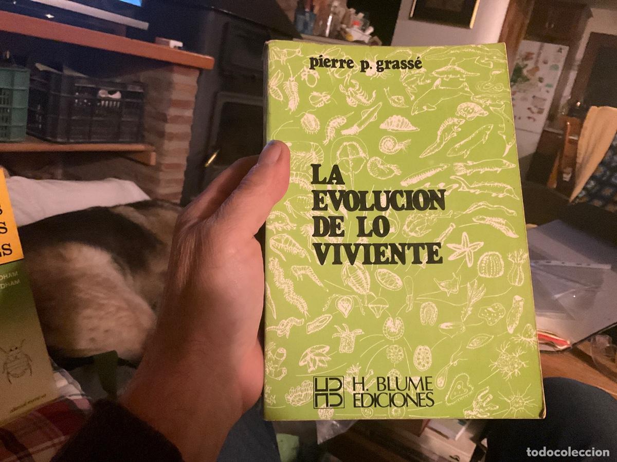Libros de segunda mano: La evoluci&oacute;n de lo viviente. Pierre P. Grass&eacute; - Foto 1