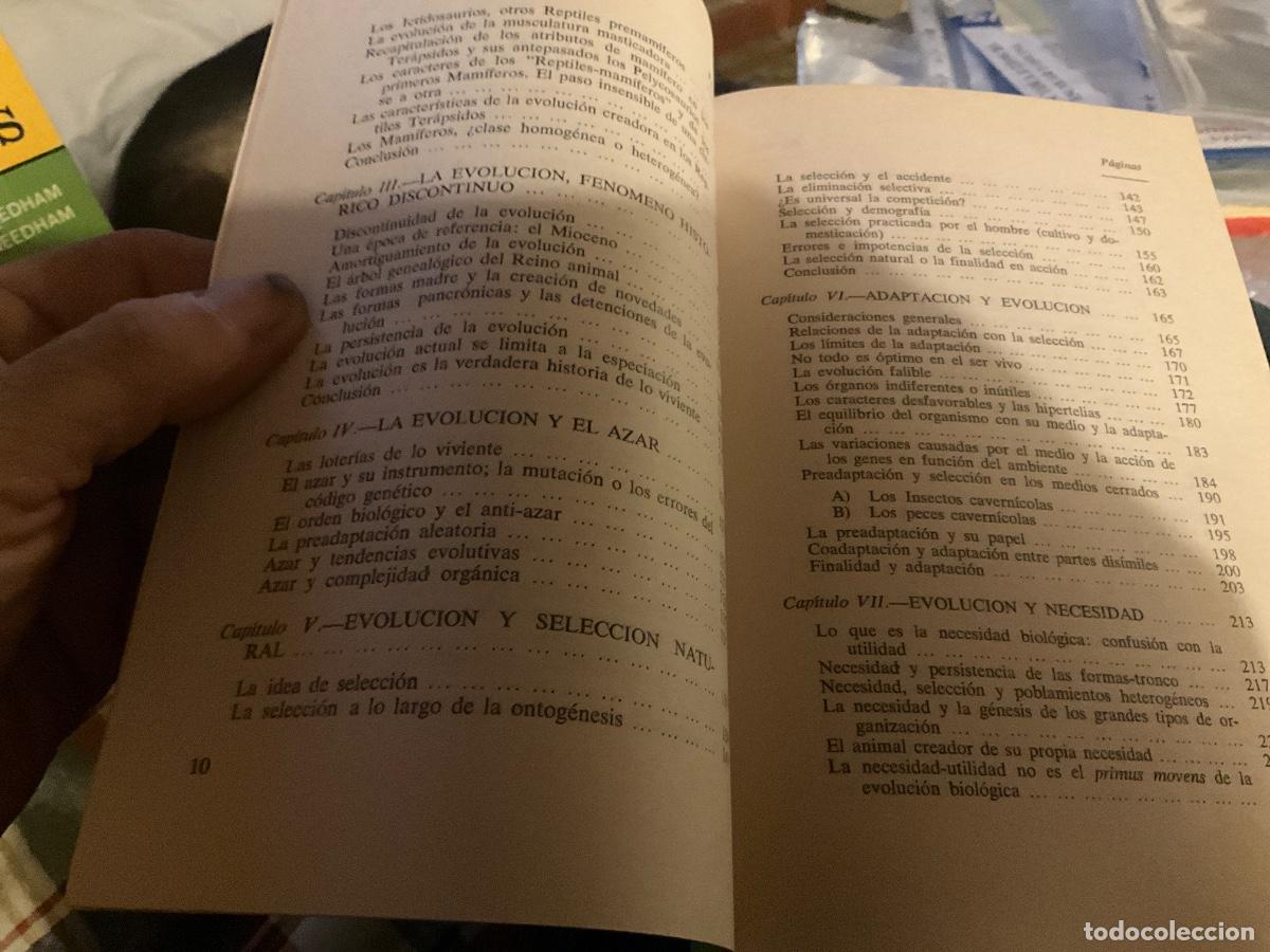 Libros de segunda mano: La evoluci&oacute;n de lo viviente. Pierre P. Grass&eacute; - Foto 3