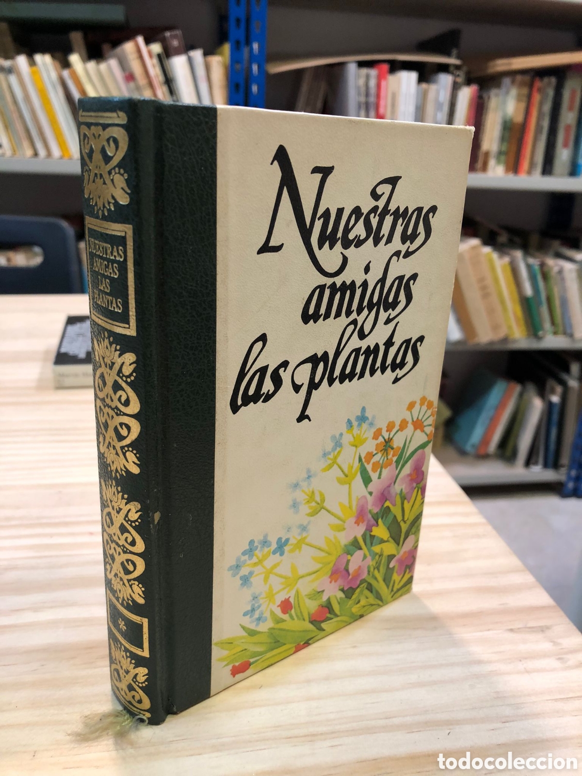 Libri di seconda mano: Nuestras amigas las plantas - Daniele Manta