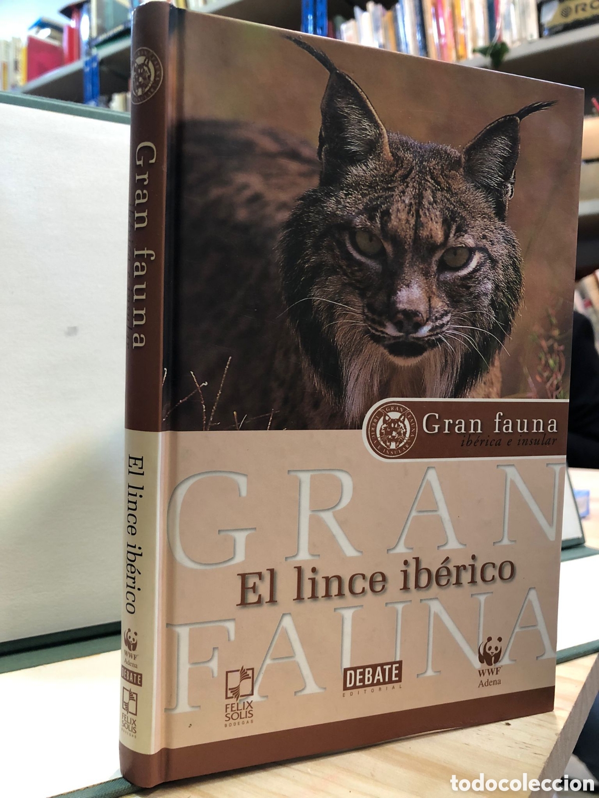 Libri di seconda mano: Gran fauna ib&eacute;rica e insular. El lince Ib&eacute;rico - Jorge Bartolome Zofio e Isaac Vega