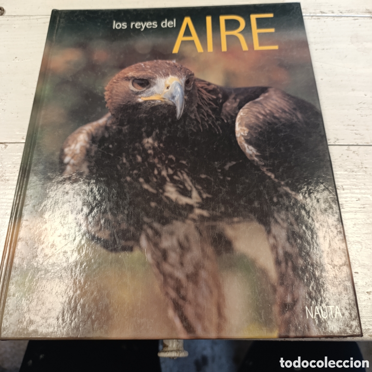 Libros de segunda mano: Libro &rdquo;Los Reyes del Aire&rdquo;,espec&iacute;ficamente enfocado en &aacute;guilas y otras aves rapaces.
