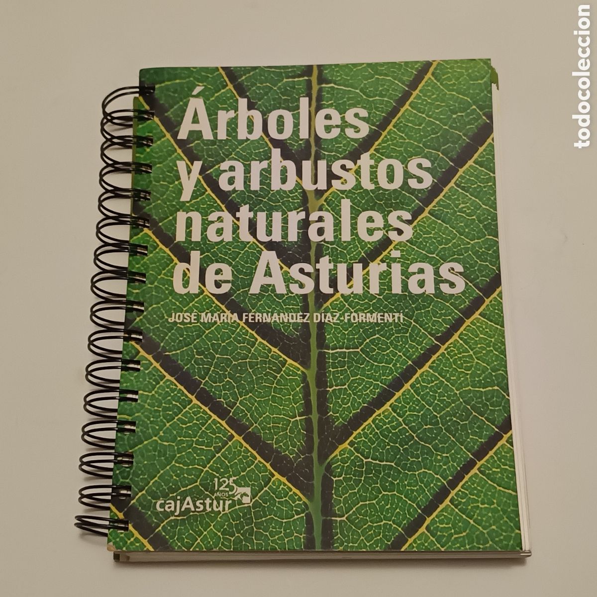 Libros de segunda mano: &Aacute;RBOLES Y ARBUSTOS NATURALES DE ASTURIAS FERN&Aacute;NDEZ D&Iacute;AZ-FORMENT&Iacute;, JOS&Eacute; MAR&Iacute;A