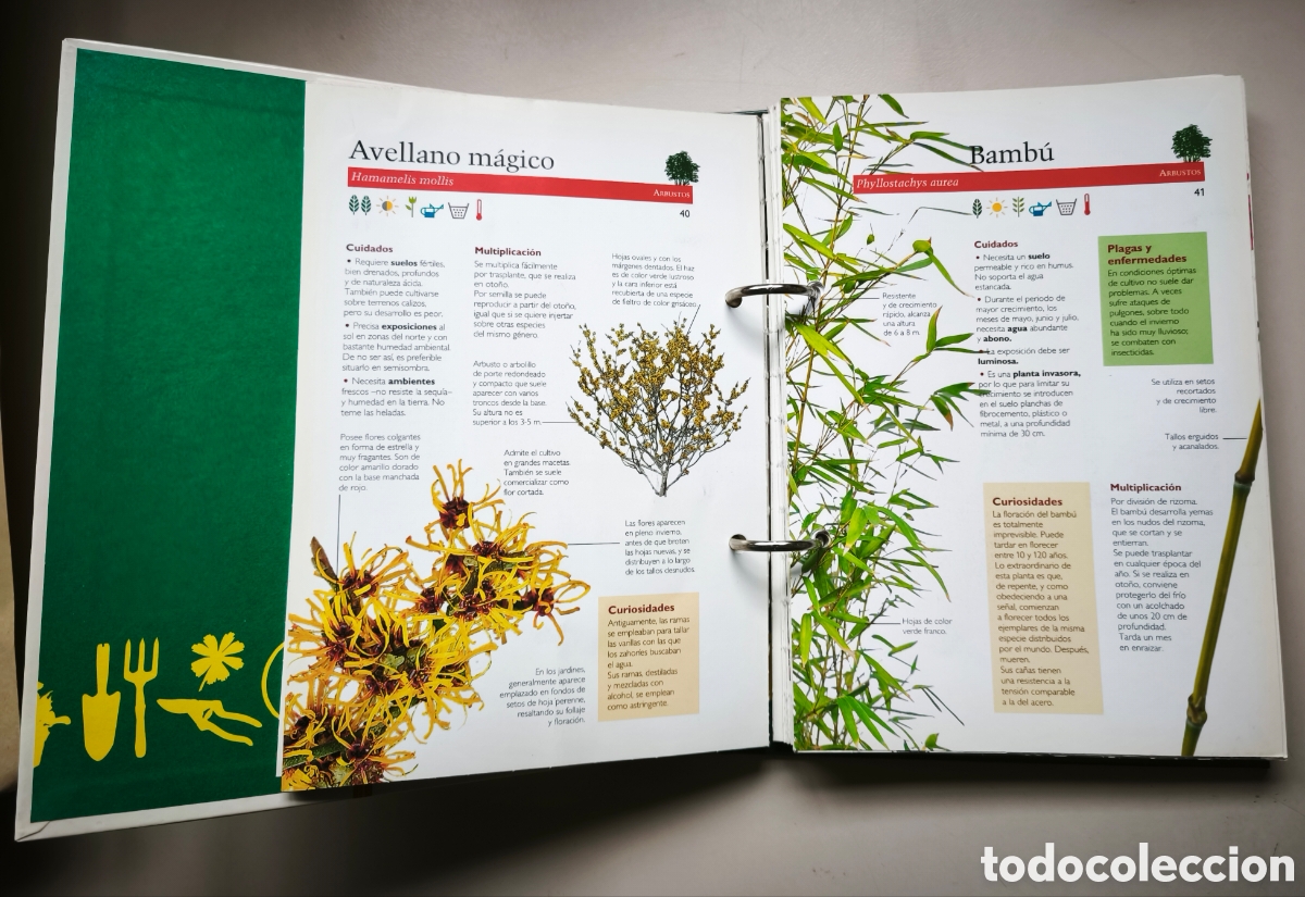 Libros de segunda mano: LIBRO-PLANTAS-JARDINERIA - Foto 4