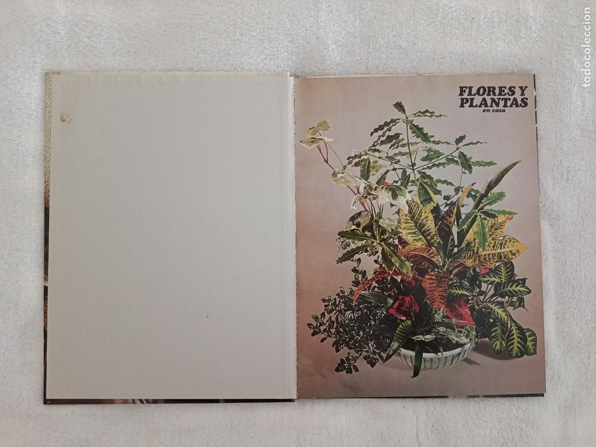 Libros de segunda mano: FLORES Y PLANTAS EN CASA - Foto 3