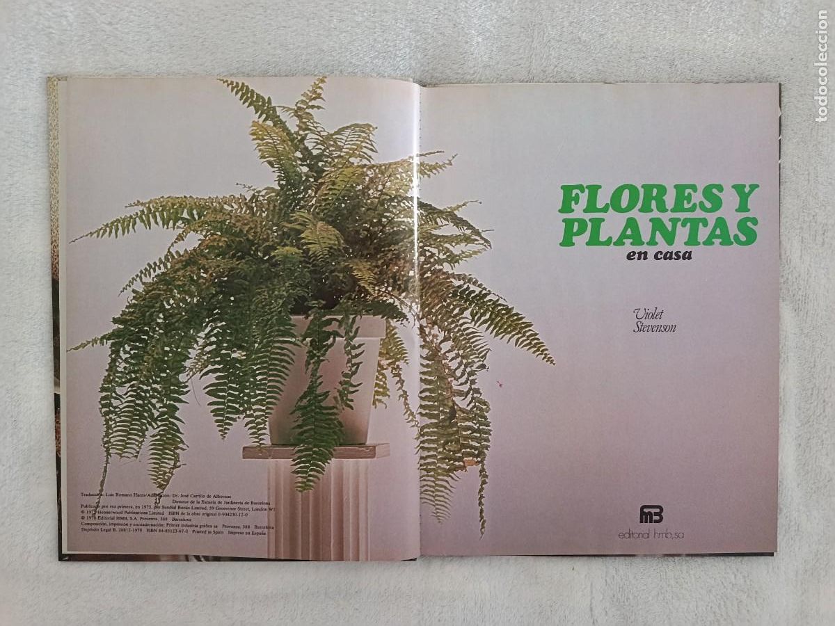 Libros de segunda mano: FLORES Y PLANTAS EN CASA - Foto 4