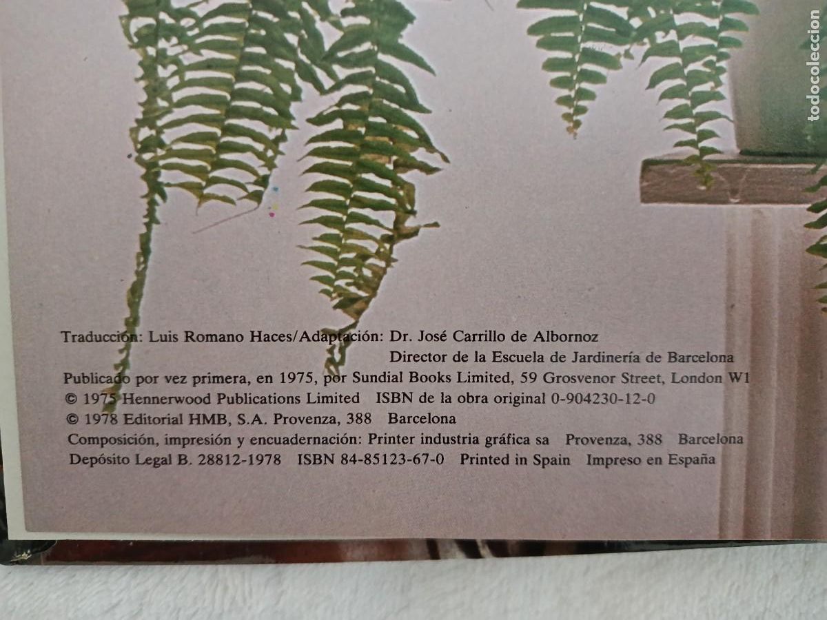 Libros de segunda mano: FLORES Y PLANTAS EN CASA - Foto 5
