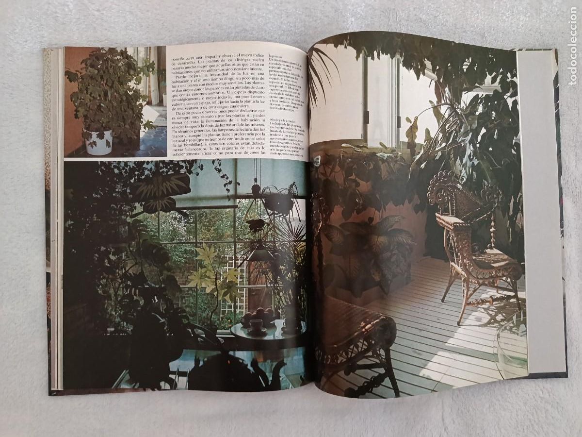 Libros de segunda mano: FLORES Y PLANTAS EN CASA - Foto 7