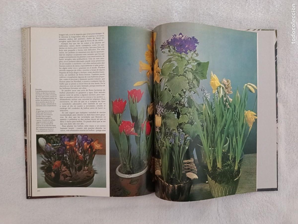 Libros de segunda mano: FLORES Y PLANTAS EN CASA - Foto 8