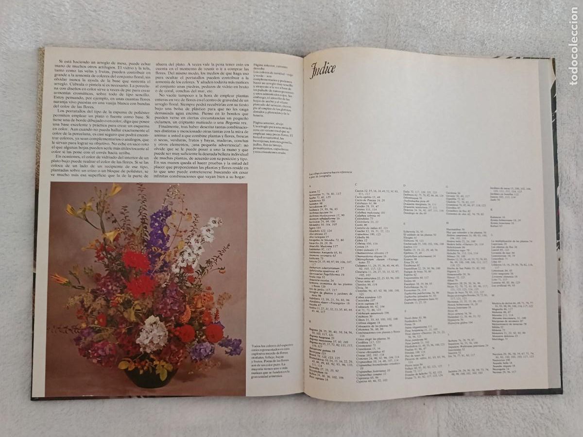 Libros de segunda mano: FLORES Y PLANTAS EN CASA - Foto 9