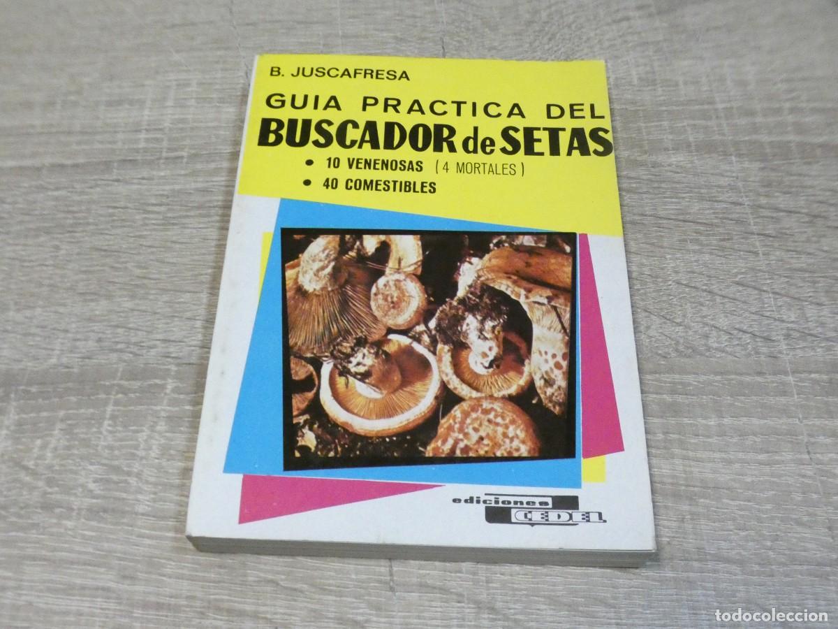 Libros de segunda mano: ARKANSAS1980 LIBRO EDITORIAL CEDEL MANUAL PRACTICO DEL BUSCADOR DE SETAS - Foto 1